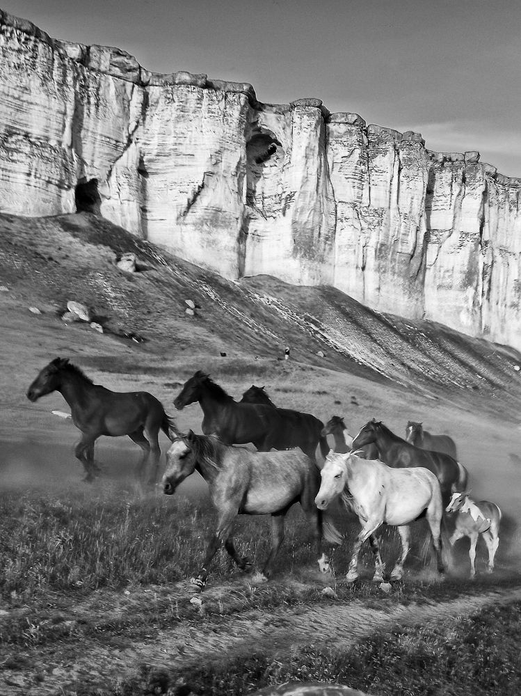 Photograph by Жигульский Сергей