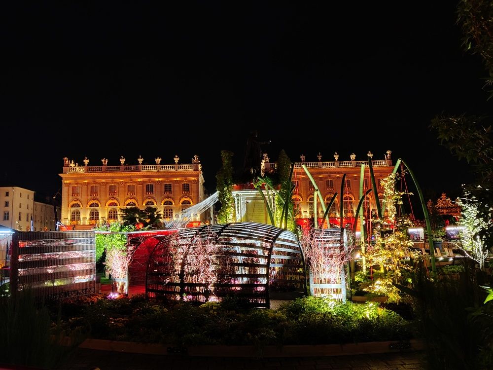 Photograph by Harold