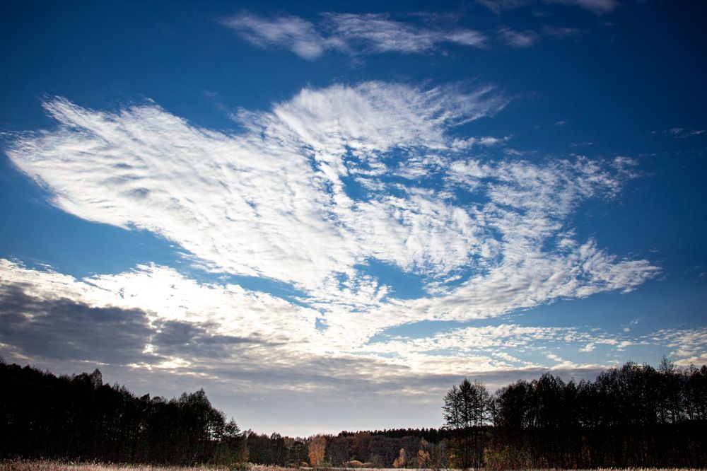 Фотография автора Елена Запертова