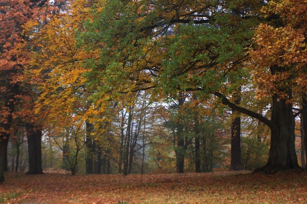 Photograph by Lena Feldman