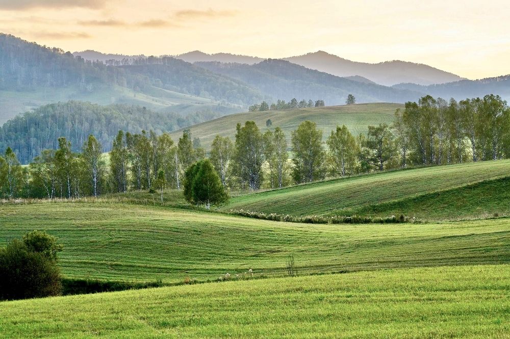 Photograph by Андрей Кузнецов