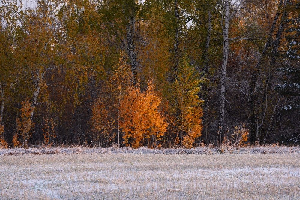 Photograph by Андрей Кузнецов