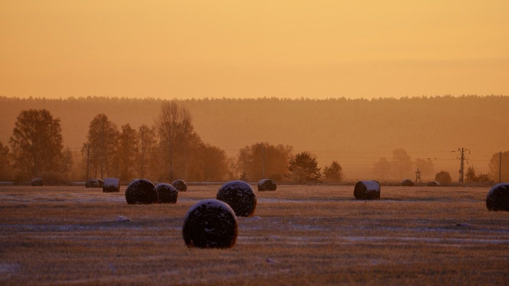 Photograph by Андрей Кузнецов