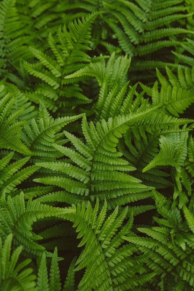 Photograph by Виктория Лавринович