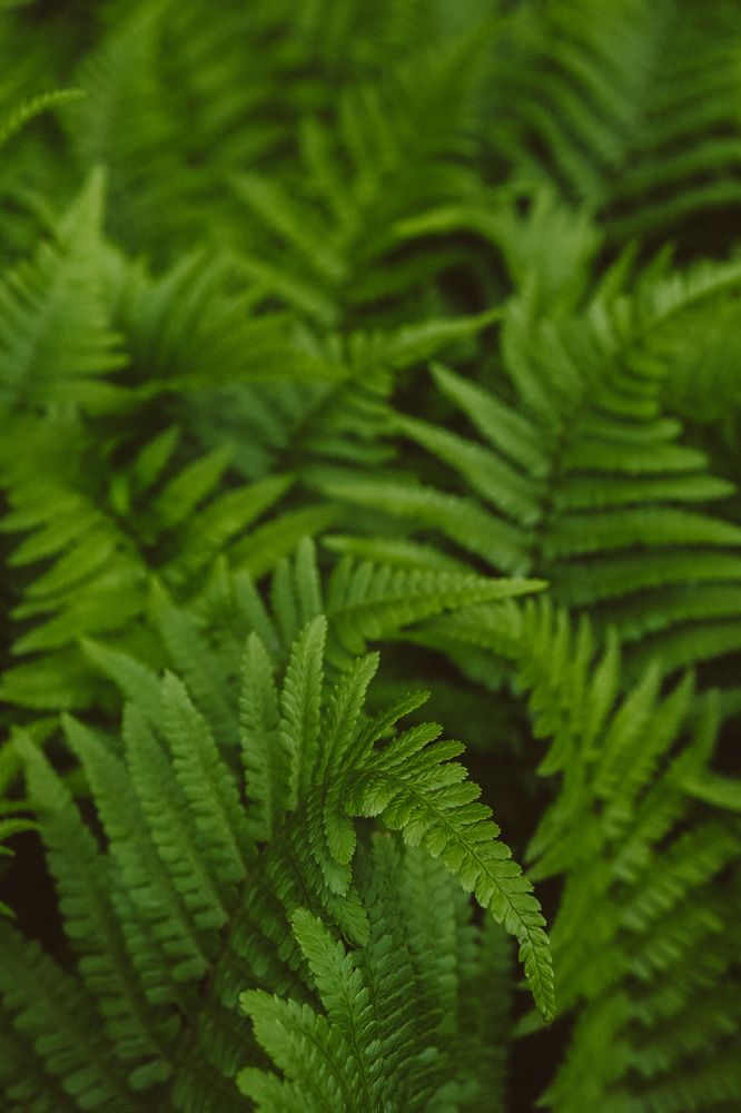 Photograph by Виктория Лавринович