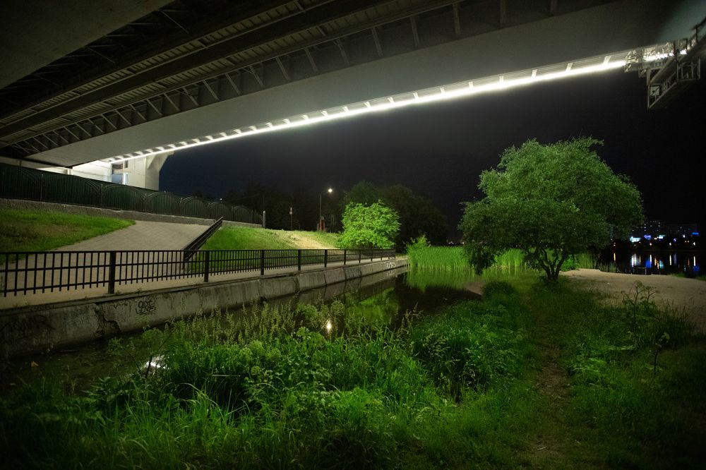 Photograph by Мария Бочкова