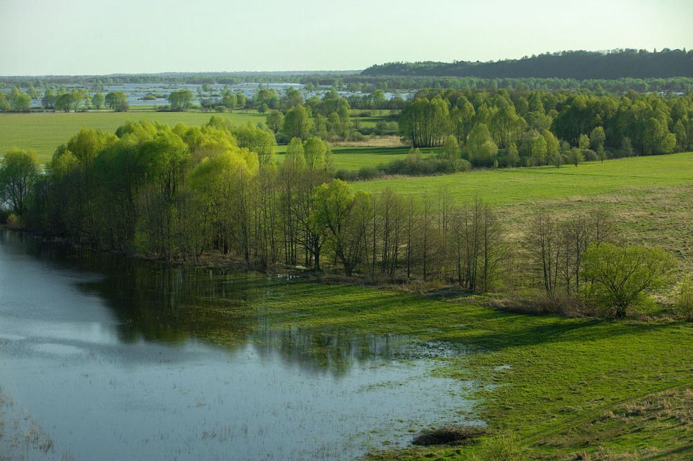Photograph by Мария Бочкова