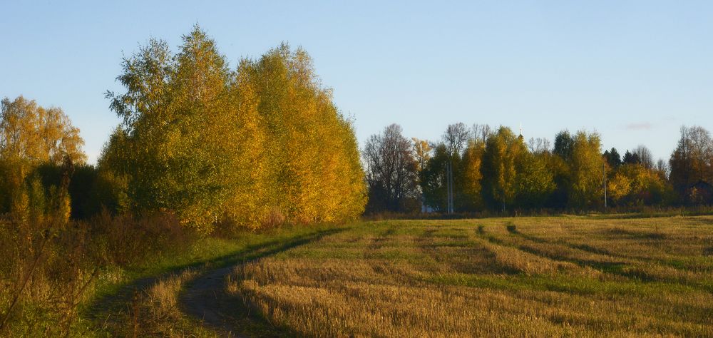 Photograph by Николай Алексеев