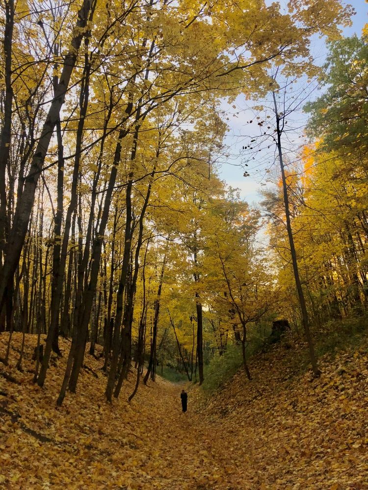 Photograph by Марина Душевина