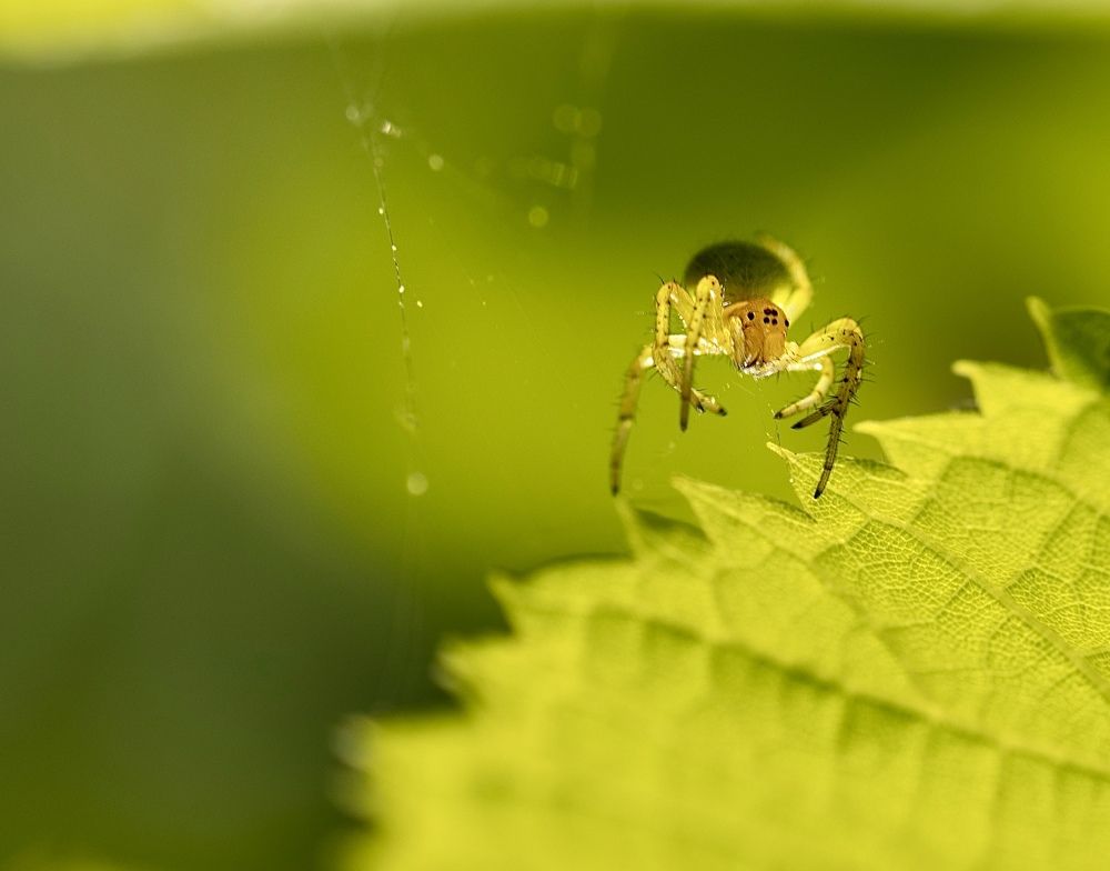 Photograph by Малика Маткарим