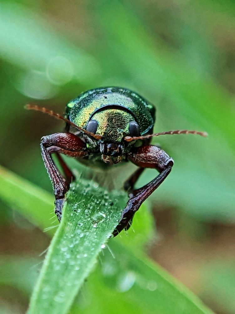 Photograph by Yernaidu Nelipudi