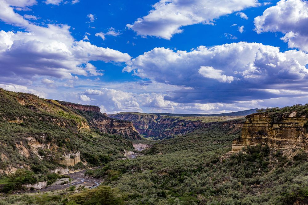 Photograph by Antony Trivet