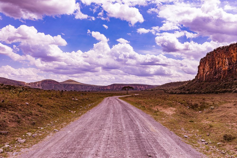 Photograph by Antony Trivet