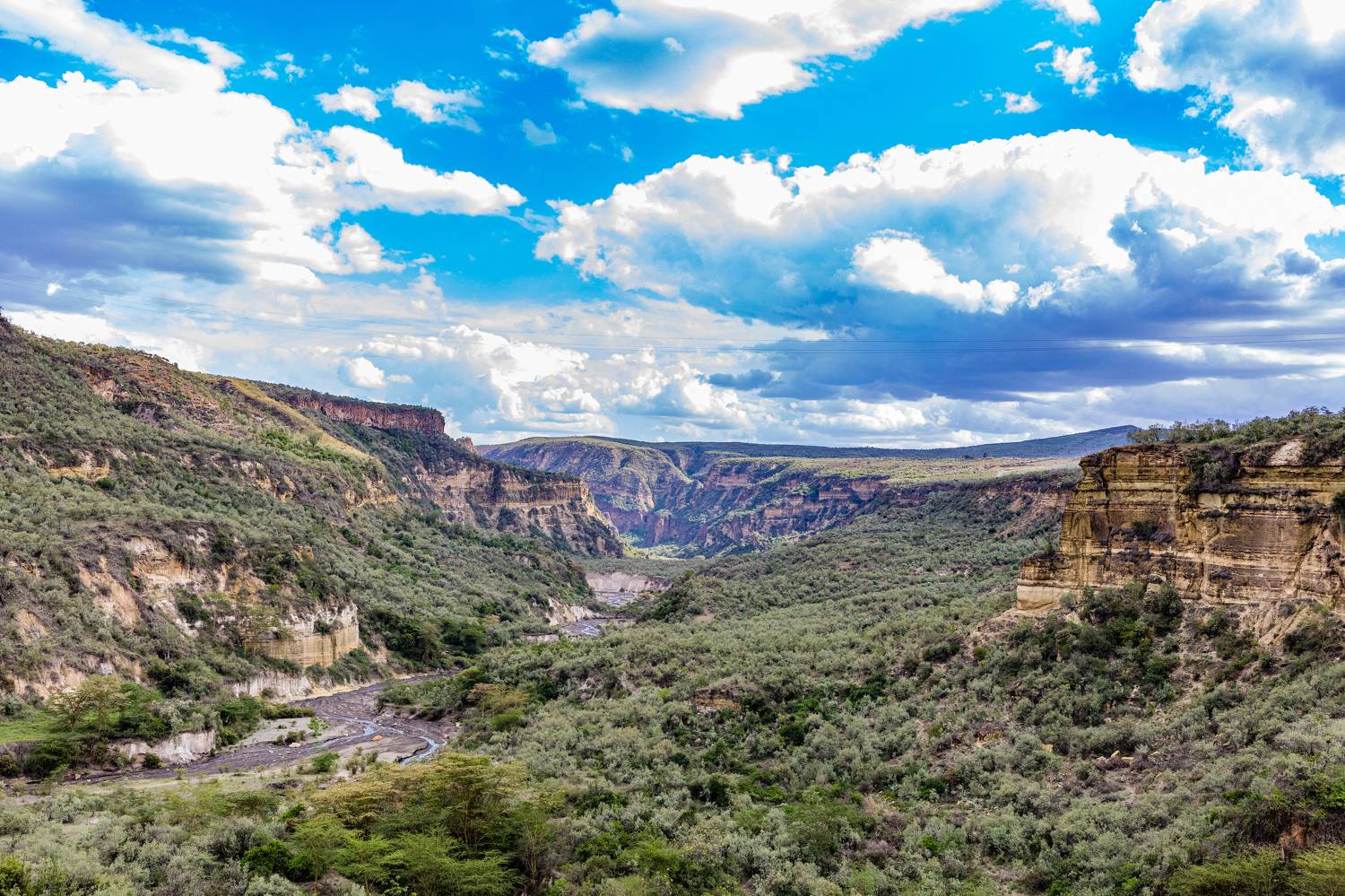 Фотография #8176647