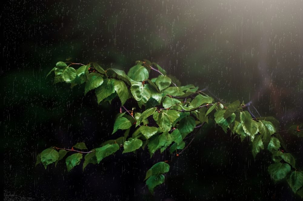 Photograph by Вероника Романенко