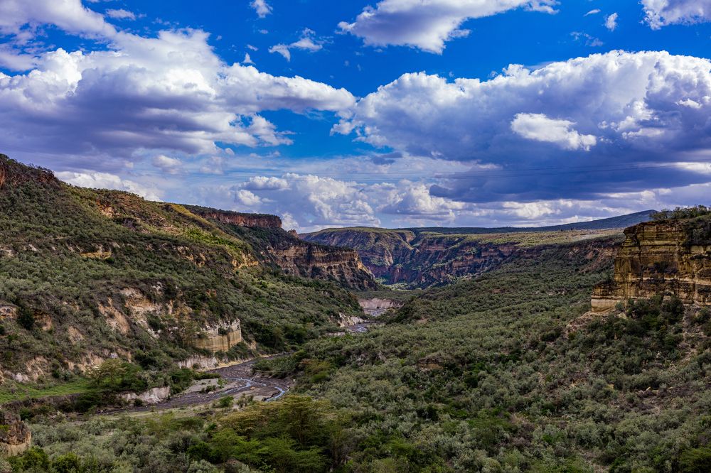 Photograph by Antony Trivet