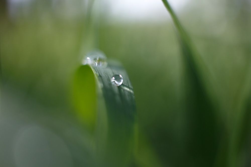 Photograph by Виктория Эверстова