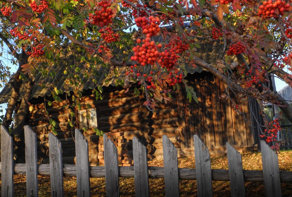 Фотография автора Виктор Руденко