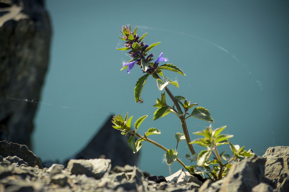 Photograph by Юлия Лушникова