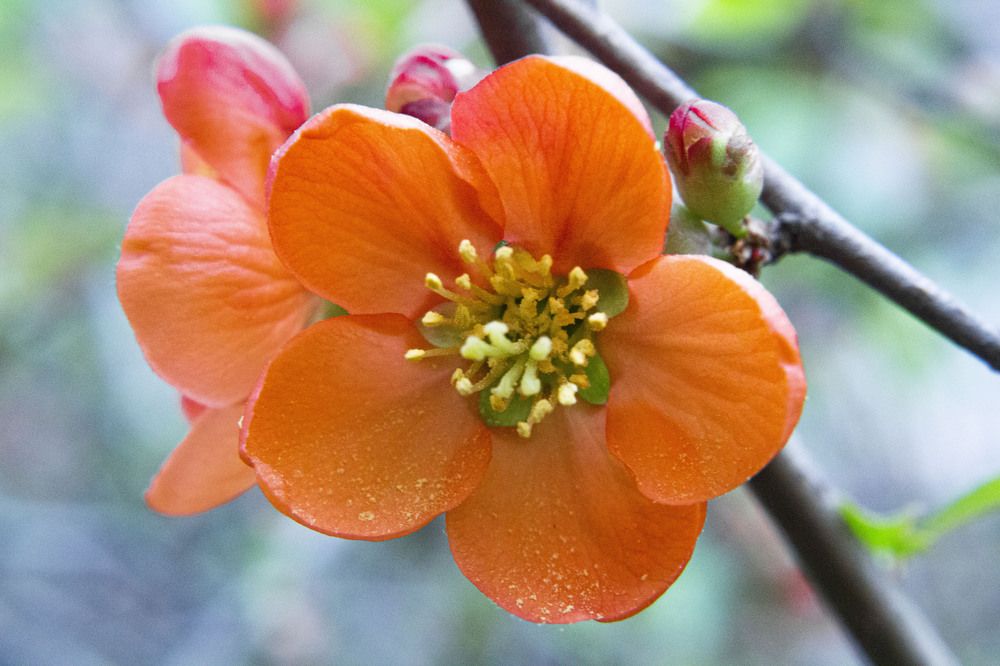 Photograph by Алексей Борисов