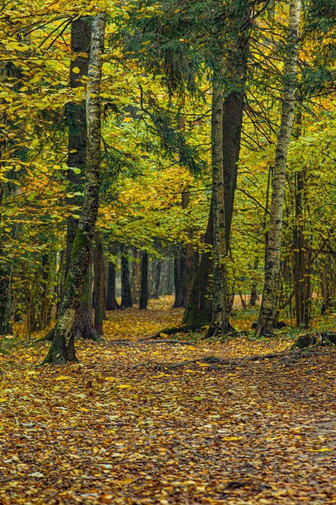 Photograph by Андрей Калинин