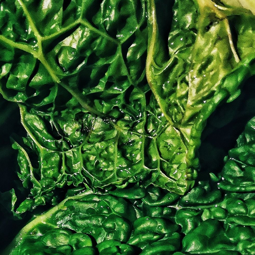 Photograph by Ирина Секачева