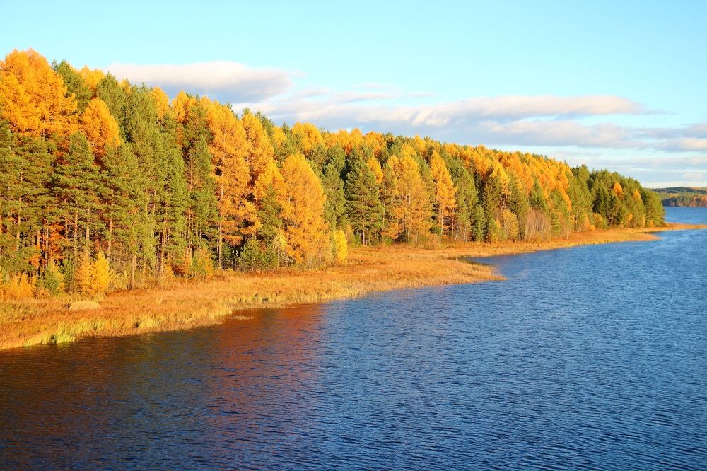 Октябрь на Турье