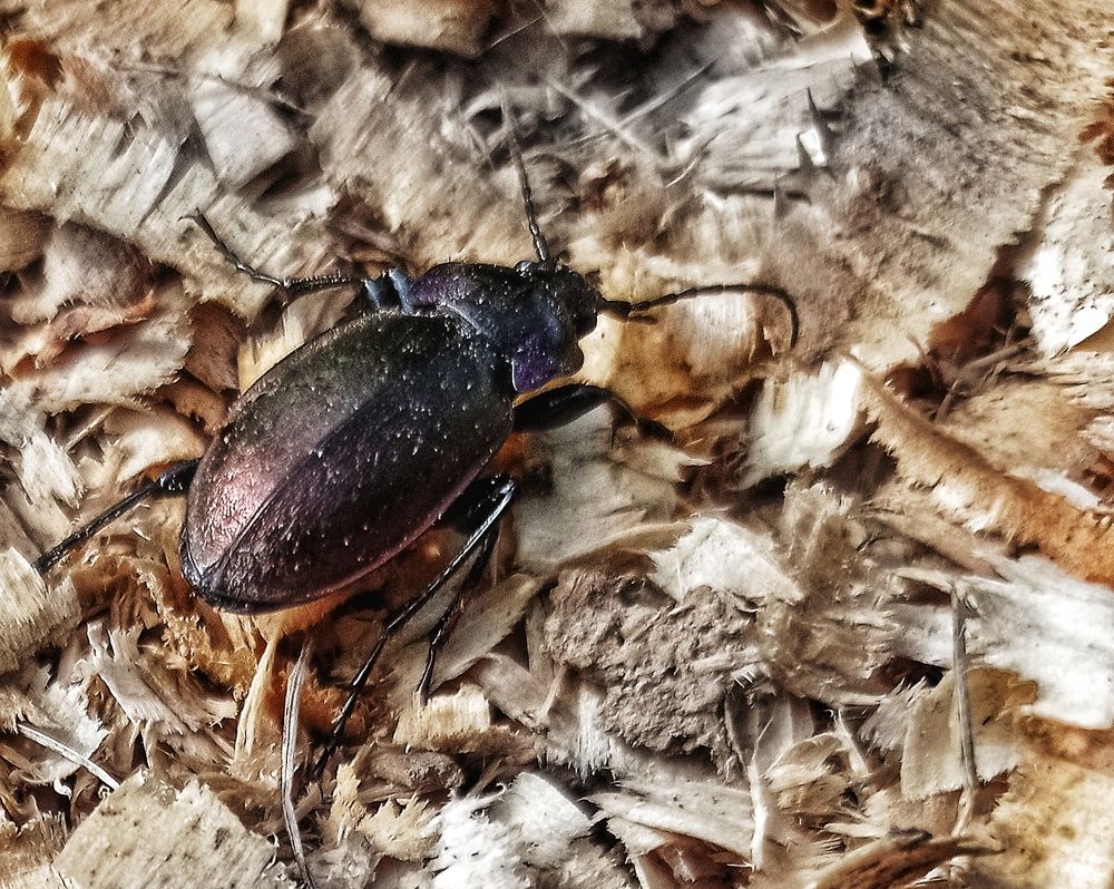 Photograph by Ольга Третьякова