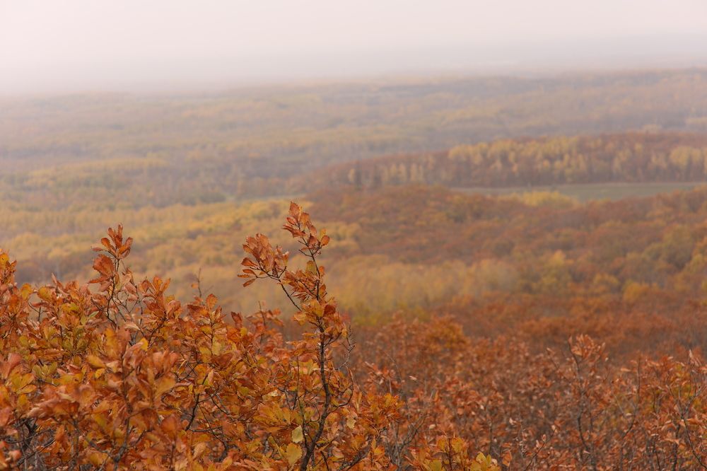 Photograph by Елена Ивашина