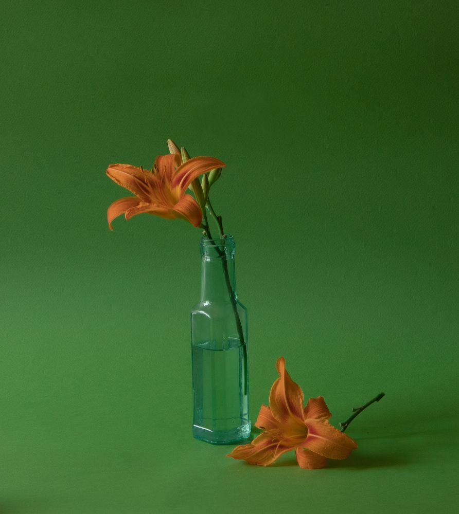 Photograph by Анна Статейко