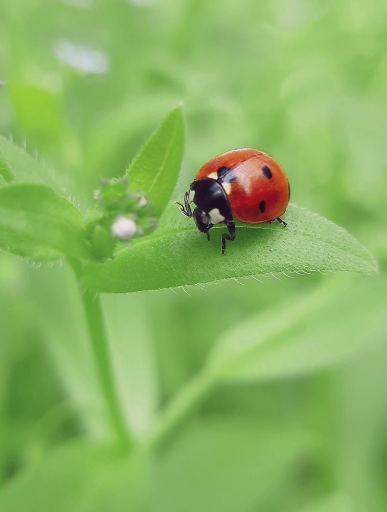 Photograph by Анна Чичилова