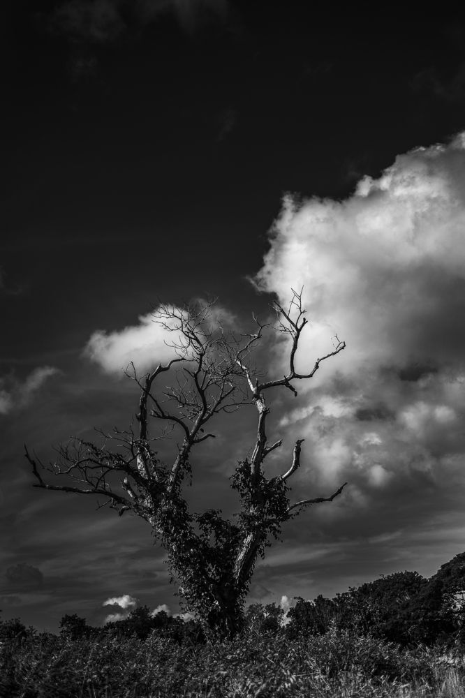 Photograph by Marlon Valdes