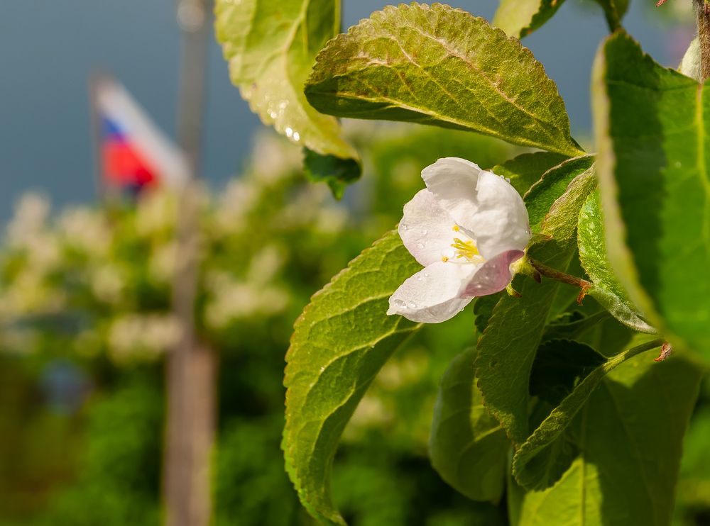 Фотография автора Олег Анатольевич Загорулько