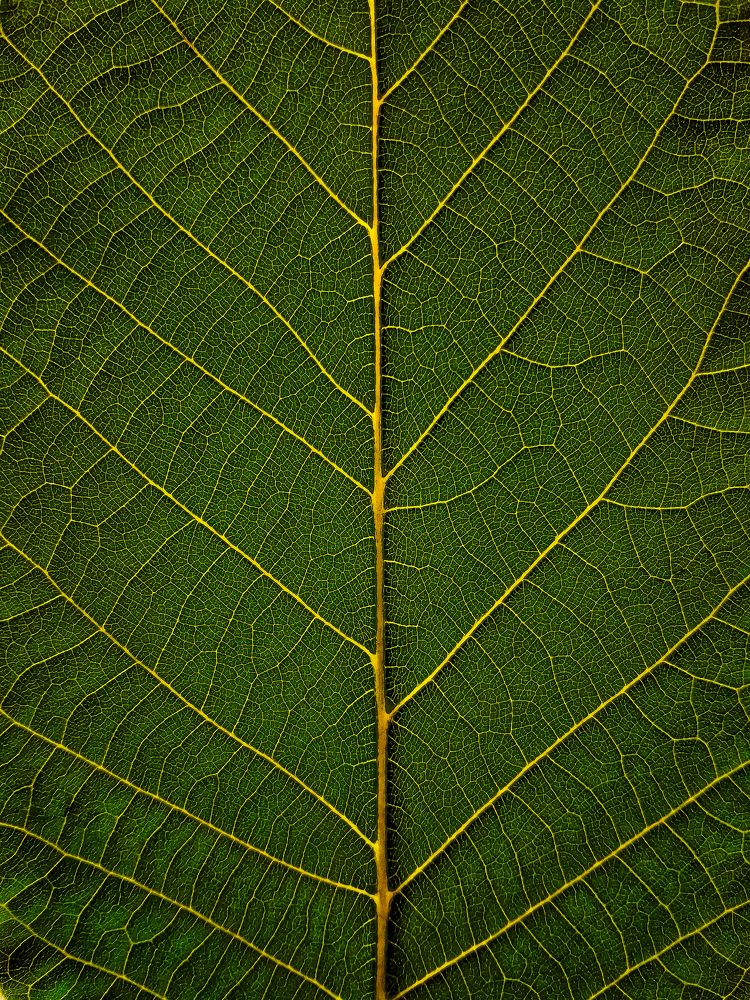 Фотография автора elyas khaghani elyas.ph