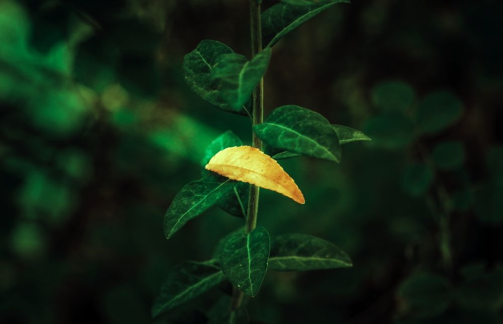 Фотография автора elyas khaghani elyas.ph