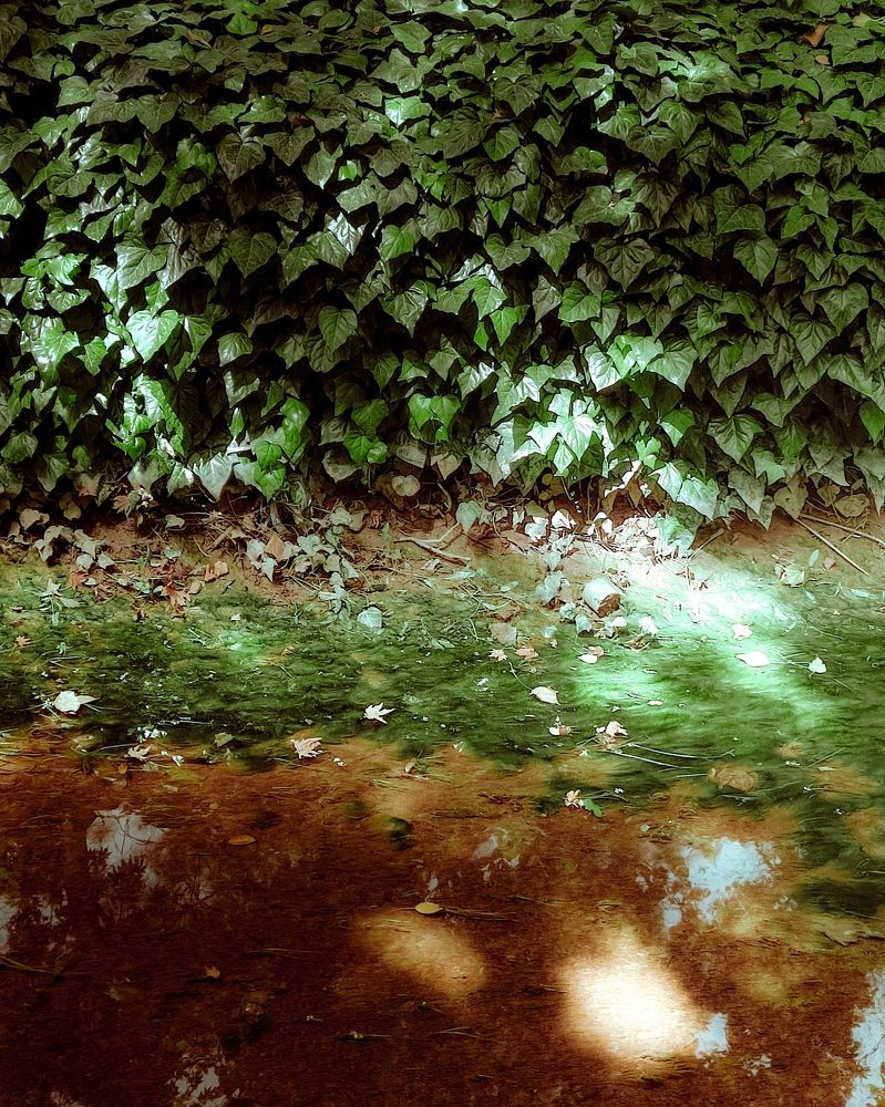 Фотография автора elyas khaghani elyas.ph