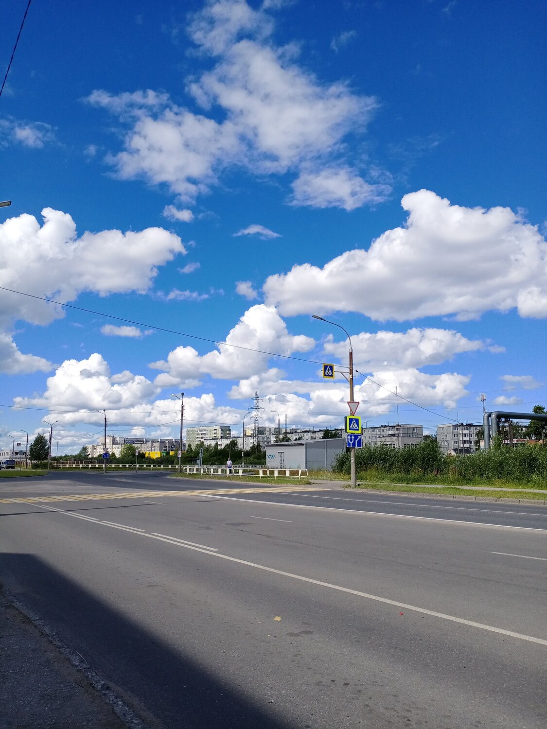 Photo #8177046