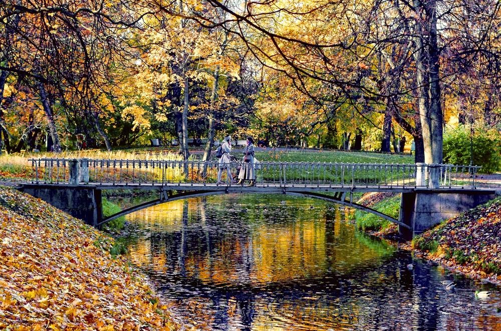 Встреча в осеннем парке.