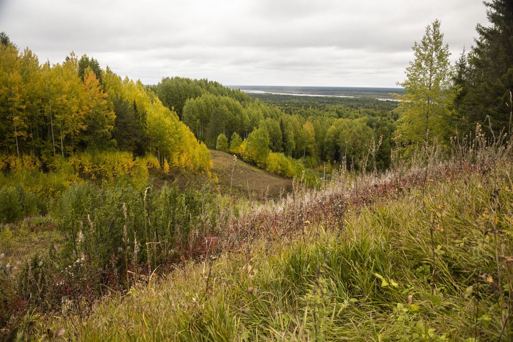 Photograph by Екатерина Екатерина