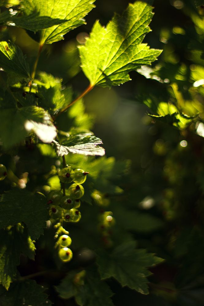 Photograph by Наталья Смирнова