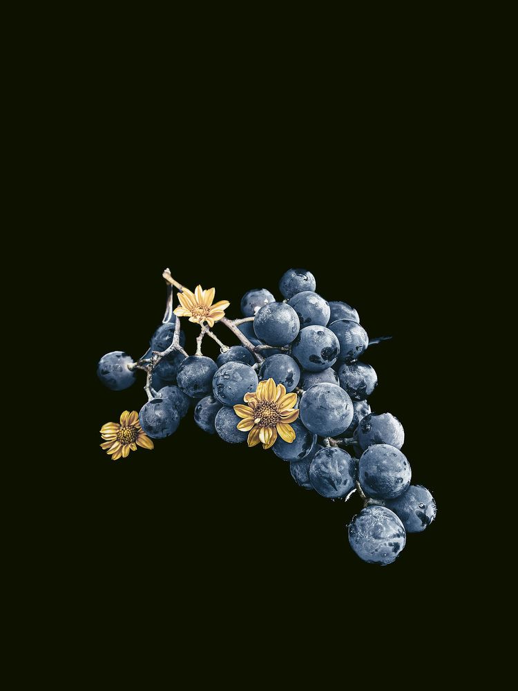 Photograph by Людмила Казак