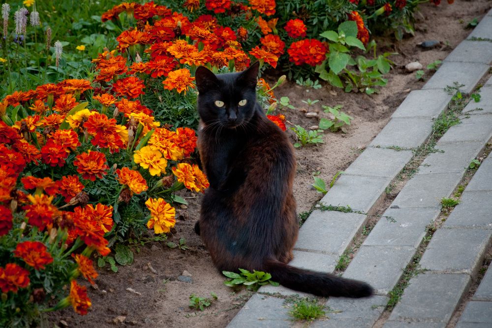 Photograph by Екатерина Екатерина