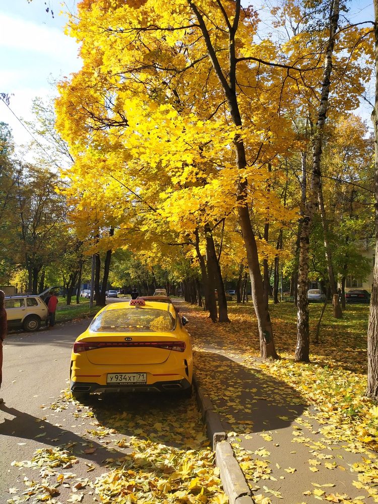Фотография автора Наталья Агапова