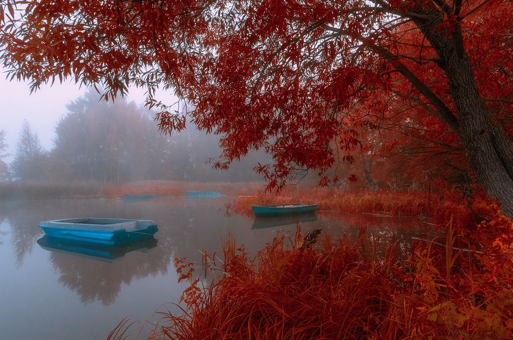 Photograph by Елена Потемина