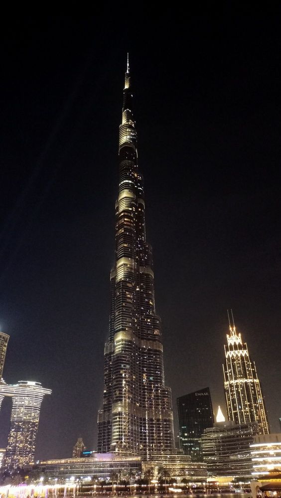 Photo #8177156
