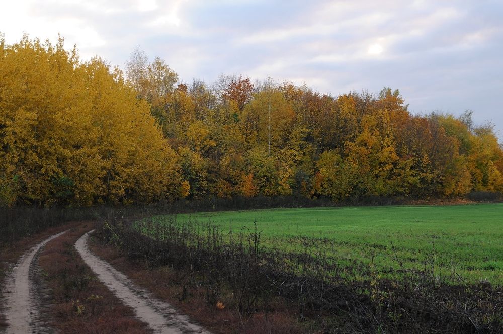 Photograph by Владимир