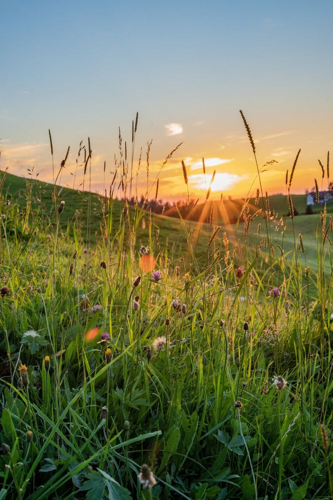 Photograph by James Graf