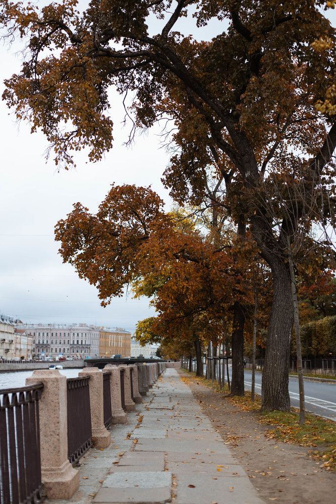 Photograph by Анастасия Щебетун