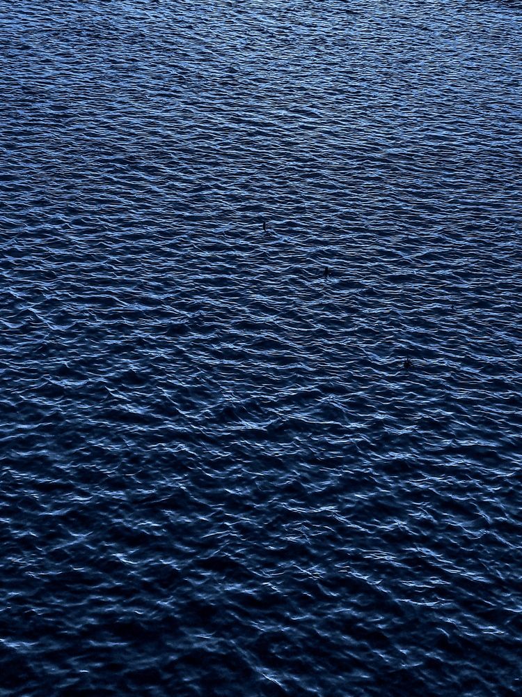 Фотография автора elyas khaghani elyas.ph