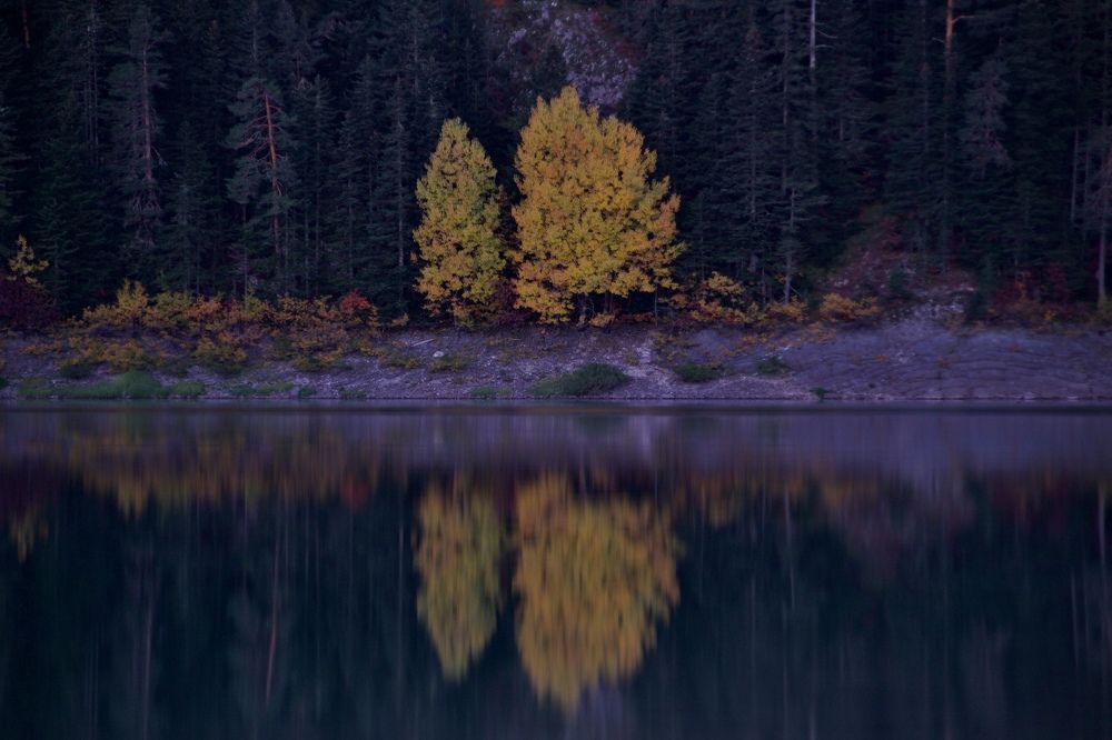 Photograph by Sadrija Ljaić